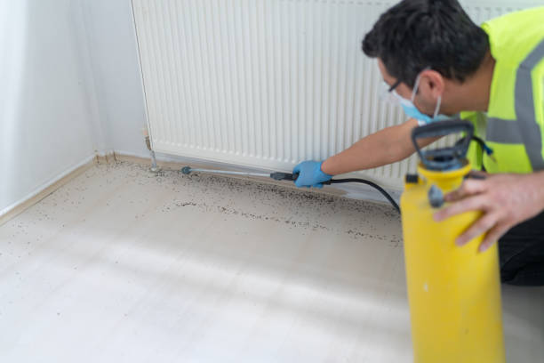 Best Pest Inspection Near Me  in Altamont, NY